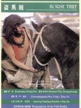 盗马贼