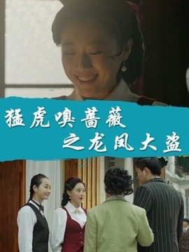 猛虎嗅蔷薇之龙凤大盗